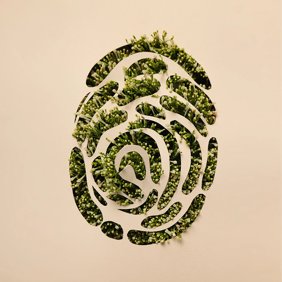 Evere Pace, Le Plan Action Climat